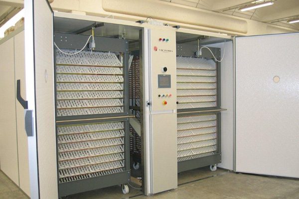 industrial incubator