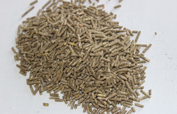 Σύνθετη τροφοδοσία με τροφή