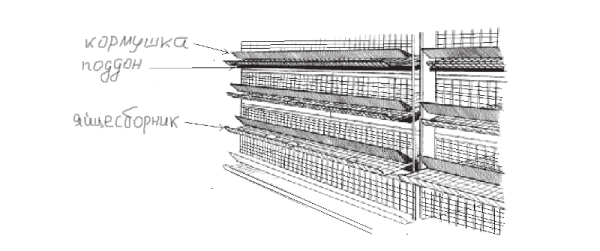 layout of cells in the hen house racks