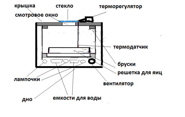 Προηγμένο σχεδιασμό φυτώριο ανεμιστήρα