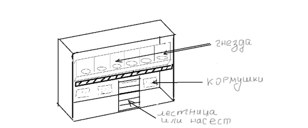 schematic arrangement of perches, feeders and nests in the henhouse