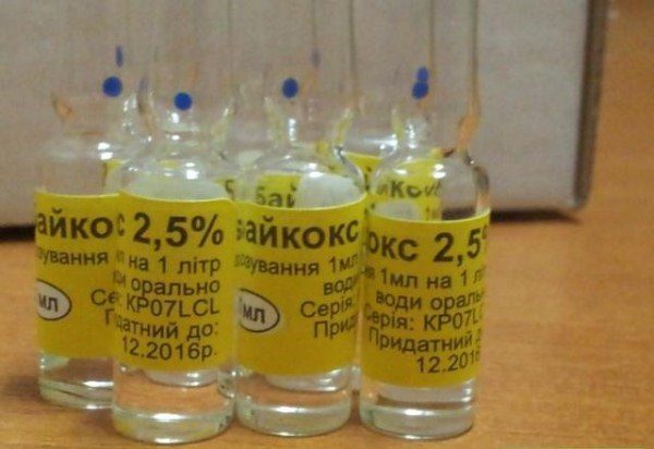 Baycox in Ampullen 2,5%