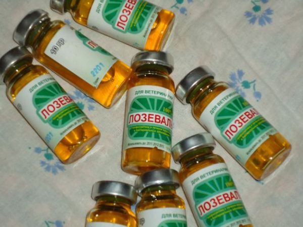 Lozeval φύσιγγα 10 γραμμαρίων