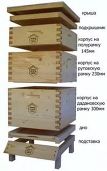 Ruche Pitless Multicolore