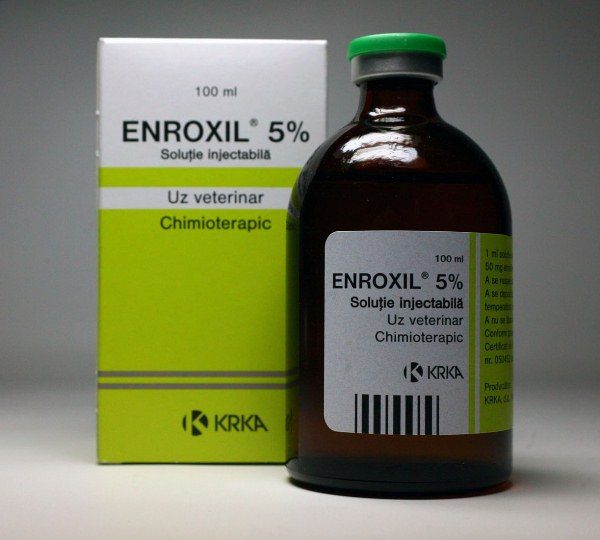 Enroxil 5%