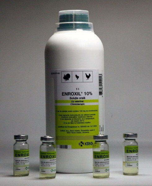 Enroxil 10% en bouteille et ampoules