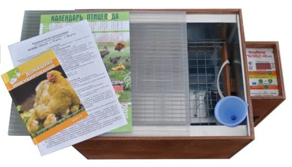 Incubatore digitale Blitz-48