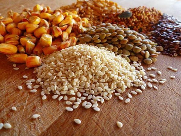 aliments pour poulets de chair