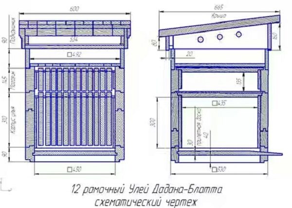 Dessin d'une ruche de 12 cadres