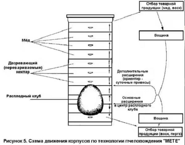 Le schéma de circulation des bâtiments sur la technologie de l'apiculture METE