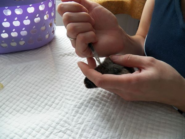 подкожно администриране на лекарството