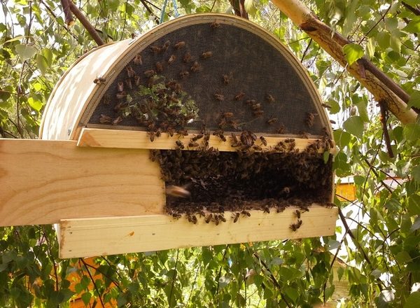 Roevnya le faire vous-même