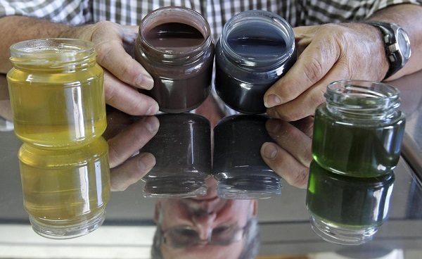 miel de miel naturel