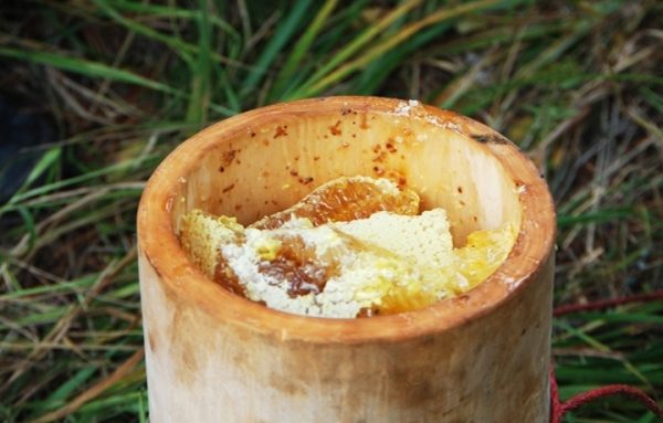 Miel en nid d'abeille