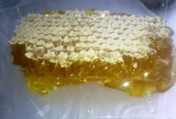 Peigne de miel trèfle fleur