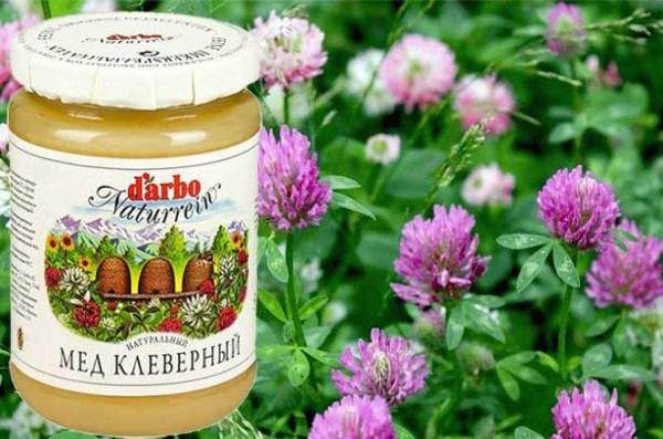 Trèfle Emballé Miel