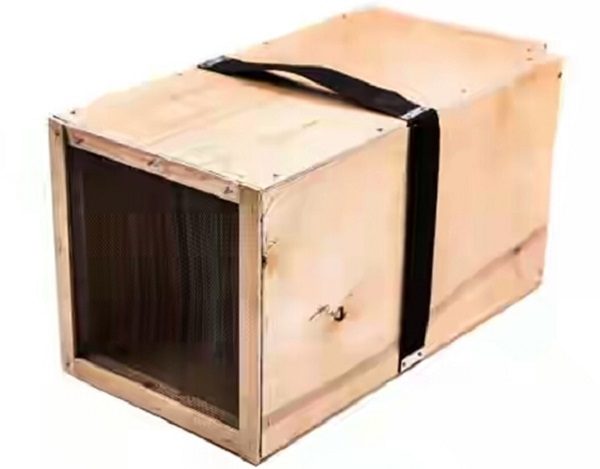 essaim de contreplaqué