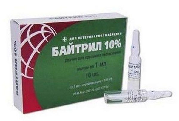 Baytril 10% en ampoules