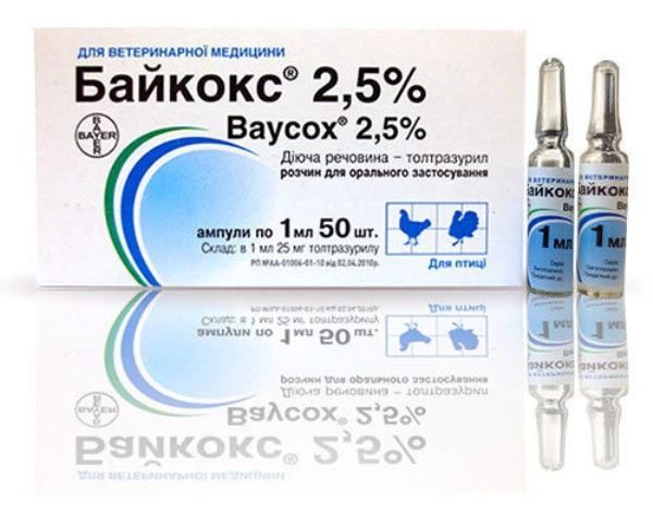 Baykoks 2,5% en ampoules 1 ml