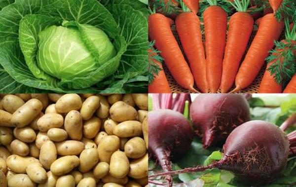 Chou, carottes, pommes de terre, betteraves