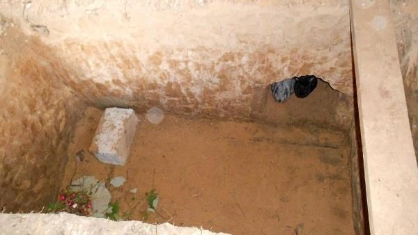 Trou pour les lapins avec terrier