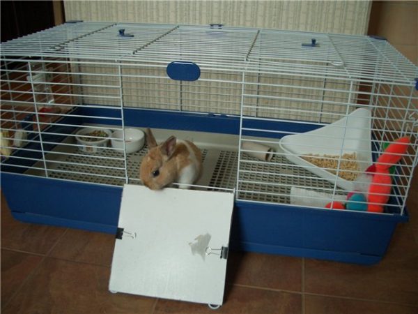 Cage pour lapin décoratif