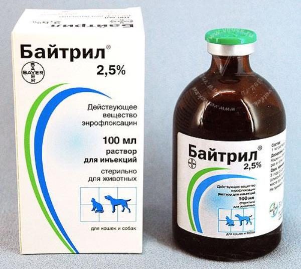 Baytril 2,5%