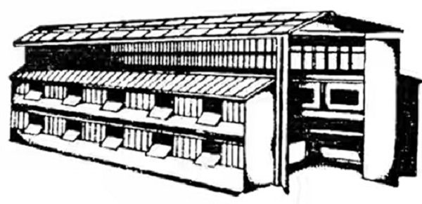 Sommaire hangar pour lapin