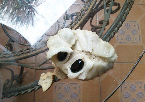 Sucre pomme avec os dans la coupe