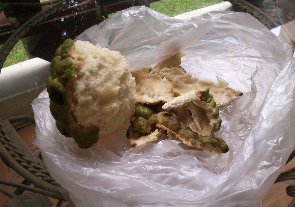 Les fruits de la pomme à sucre sont largement utilisés dans la cuisine, la cosmétologie et la médecine traditionnelle.