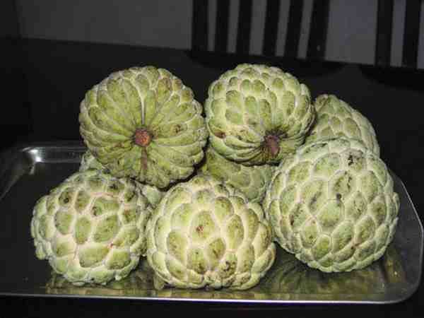 Les nutriments du fruit ont un effet bénéfique sur tout le corps.