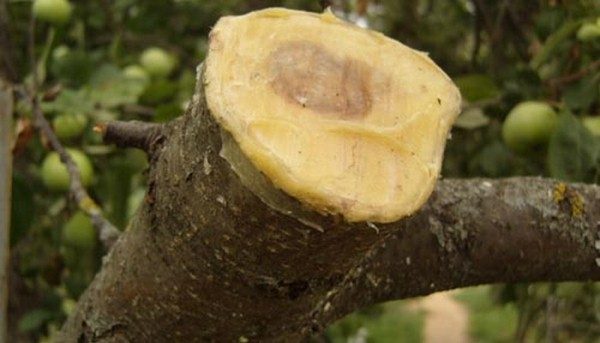 La surface de coupe nécessite une protection supplémentaire.