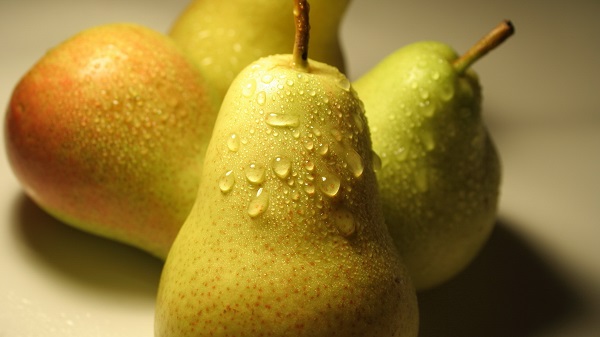 Pear Forest Beauty