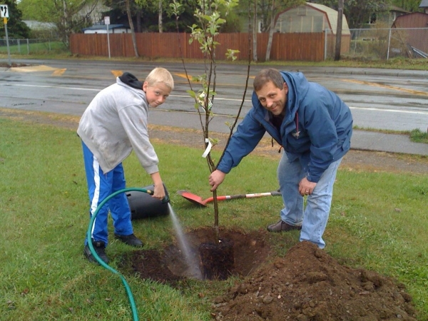 L’apparition du gel est le point de départ de la plantation de pommiers à l’automne