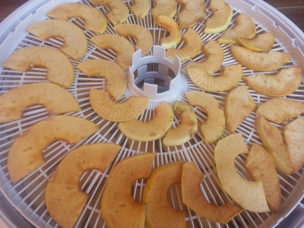 Dans la sécheuse électrique, vous pouvez sécher un grand nombre de pommes en peu de temps