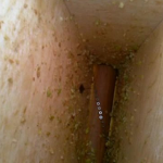 Rouleau en bois au fond de la trémie