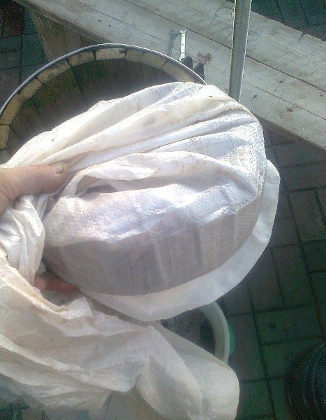 Gâteau aux pommes après la presse