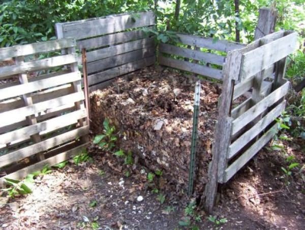 Compost prêt à être utilisé comme engrais