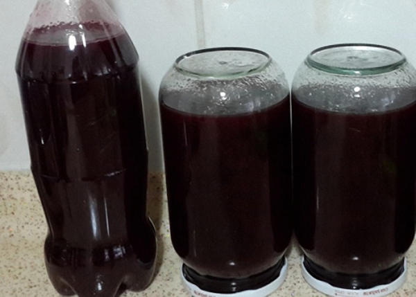 Jams and compotes with stones should not be stored for more than a year.