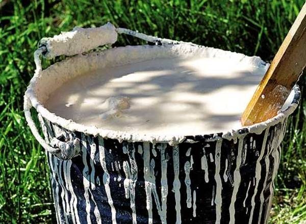 Solution pour blanchir les arbres