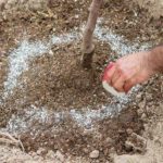 Au printemps et à l'automne, les pommiers ont besoin d'engrais et d'engrais.