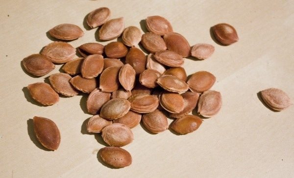 Les prunes et leurs noyaux sont largement utilisés à des fins médicinales