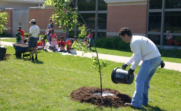 Traitement chimique des arbres à partir de pucerons
