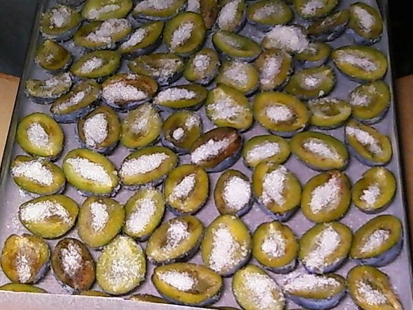 Préparation de la prune pour le séchage