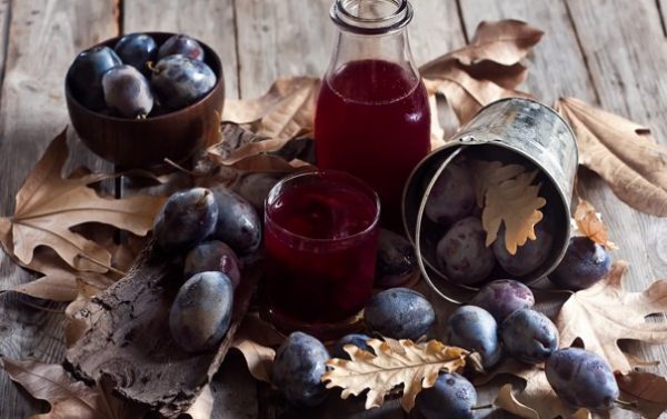 Prunes fraîches récoltées à l'automne