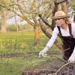 Sanitary pruning and cleaning