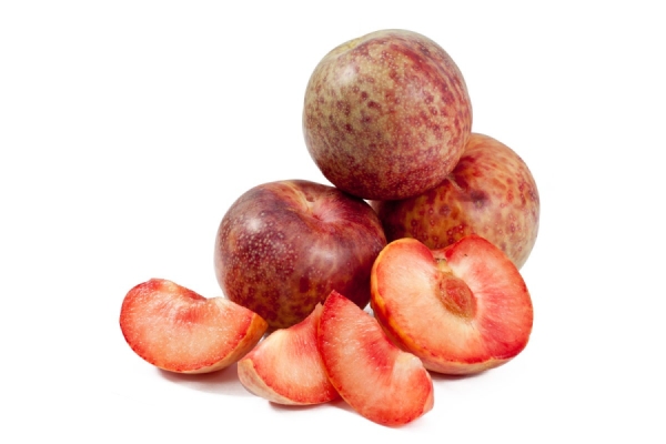 Sharafuga - un hybride obtenu en croisant pêche, prune et abricot