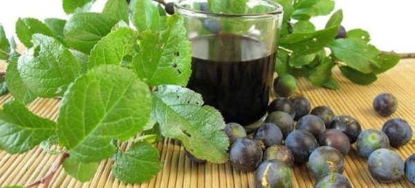 Vin de prune sauvage