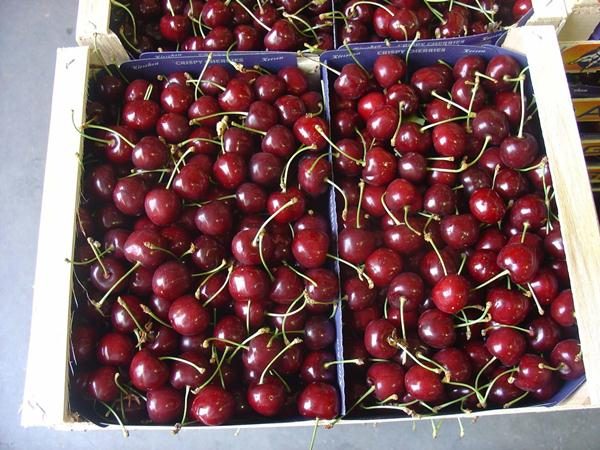 Revna de cerises douces dans des boîtes en carton