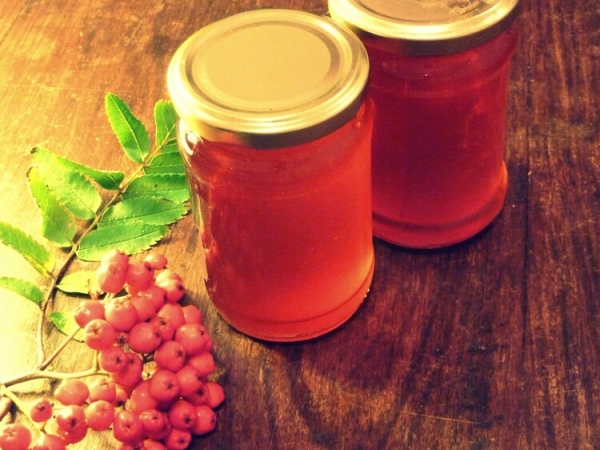 De la rowan rouge peut cuire une décoction de la grippe et même se débarrasser des verrues